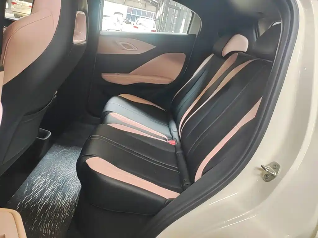 BYD Seagull 2026 2025 Smart Drive Edition 305km Vitality Version