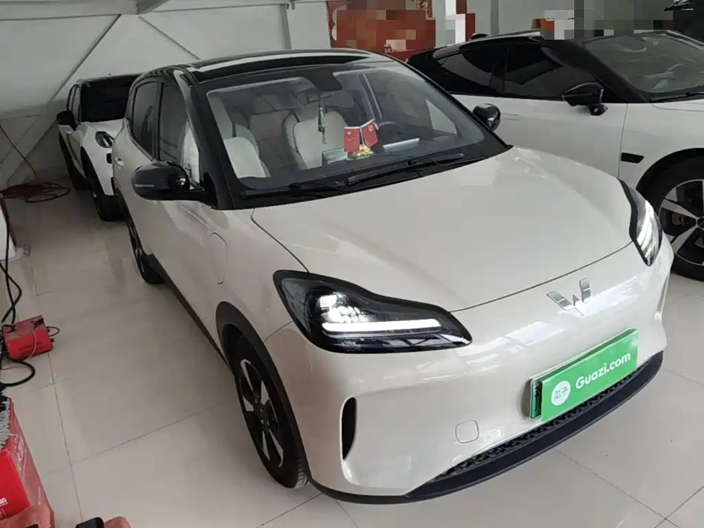 Wuling Motors Wuling Binguo PLUS 2025 2024 Model 330km 5-Seater