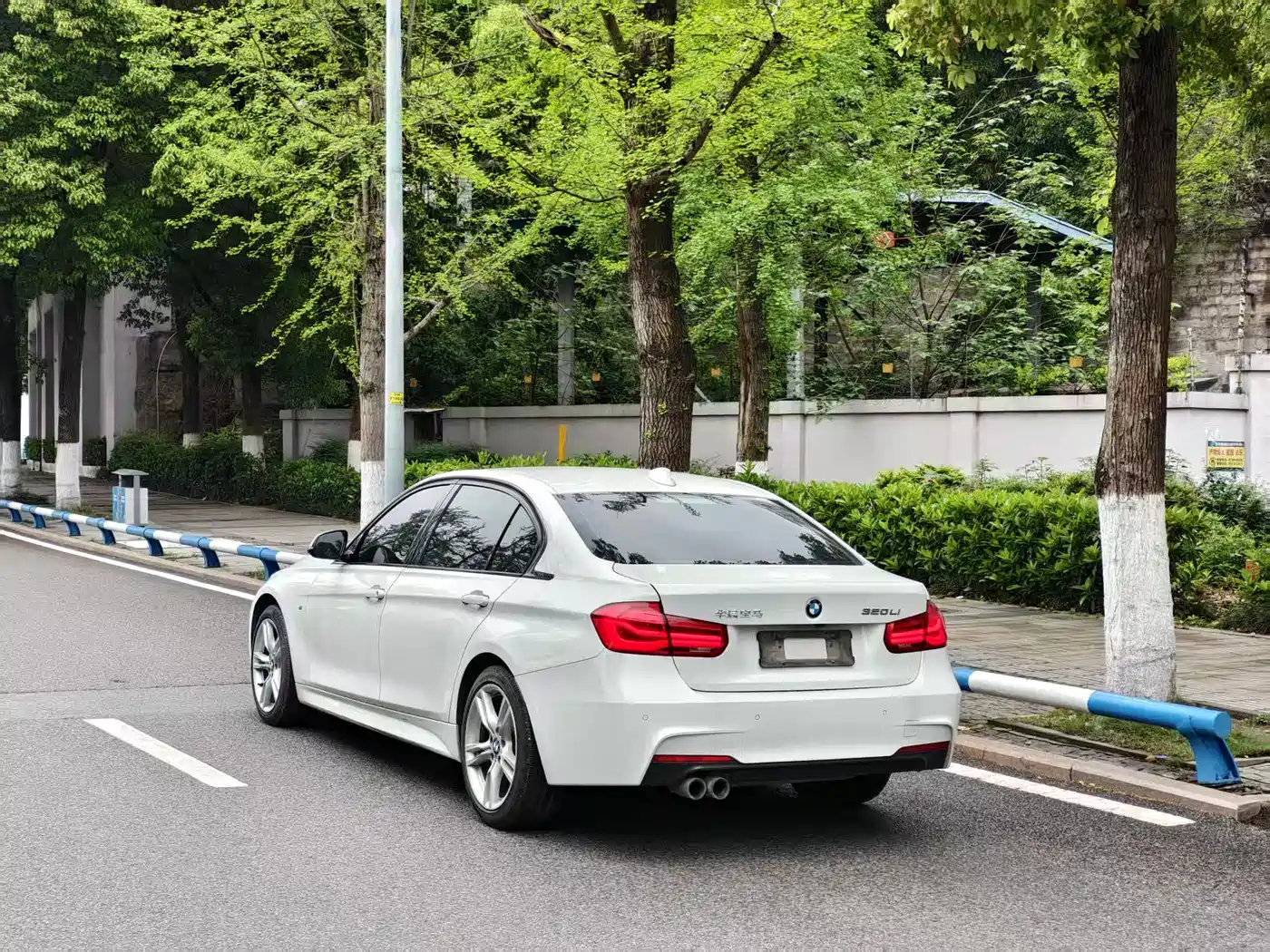 BMW 3 Series 2019 320Li M Luxury Package фото 7