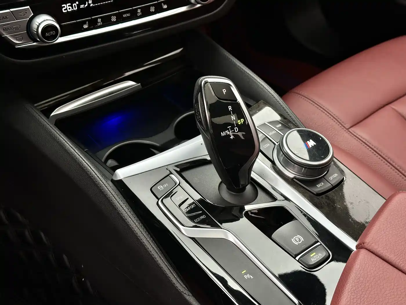 BMW 5 Series 2020 530Li Leading Luxury Package фото 9