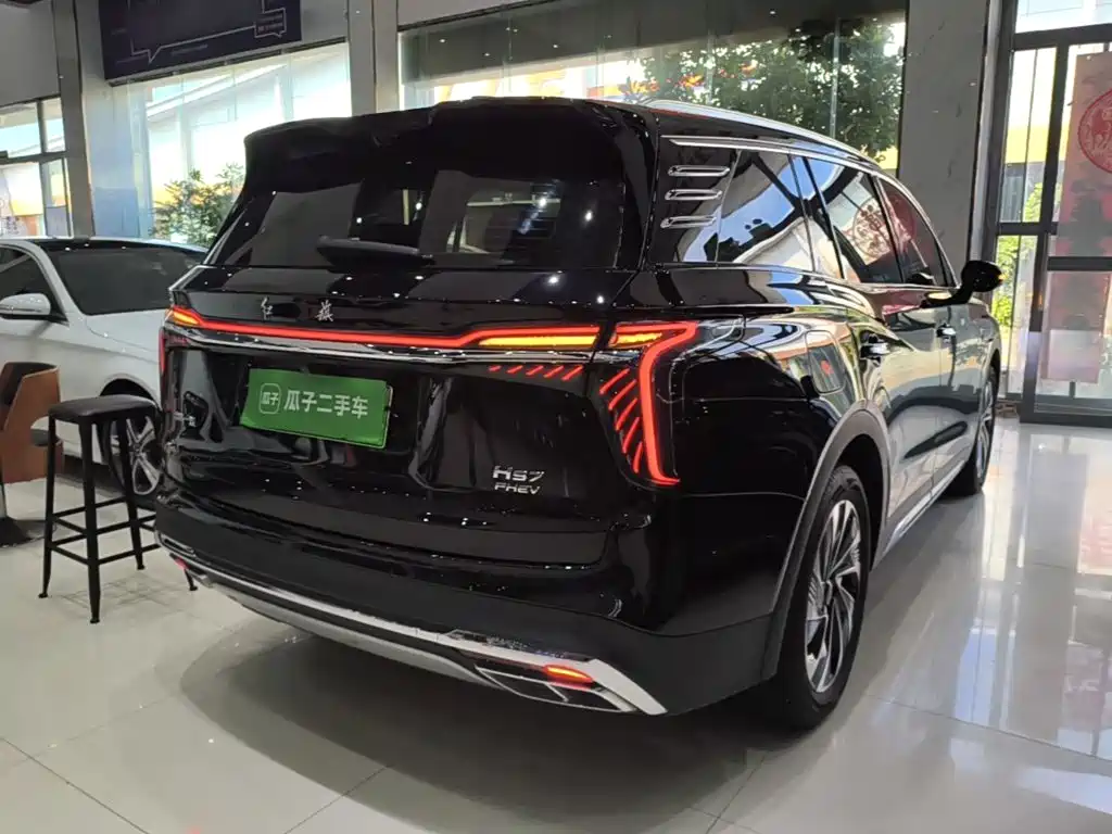 Фото 7 - Hongqi HS7 PHEV
