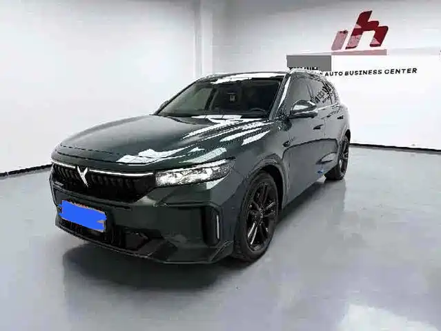 Voyah Auto VOYAH FREE 2024 Ultra Long Range Intelligent Driving Edition