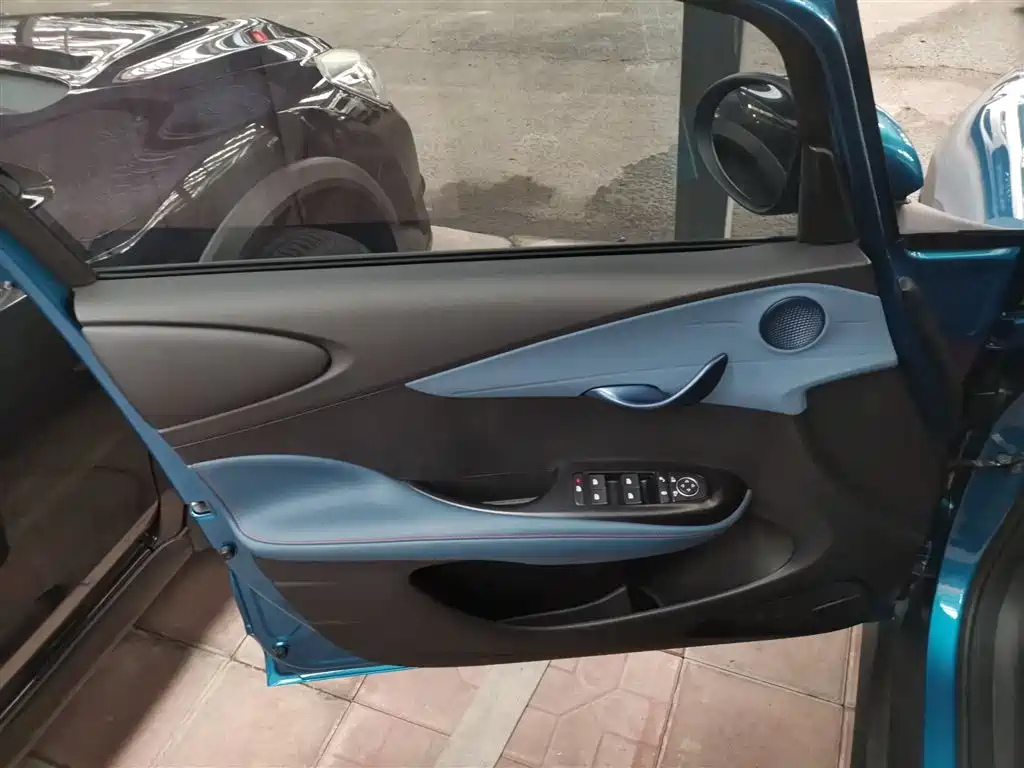 BYD Dolphin 2021 401km Knight Edition фото 21