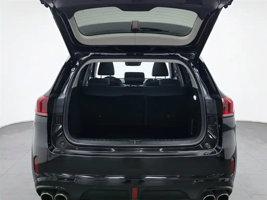 WEI PAI WEI BRAND VV6