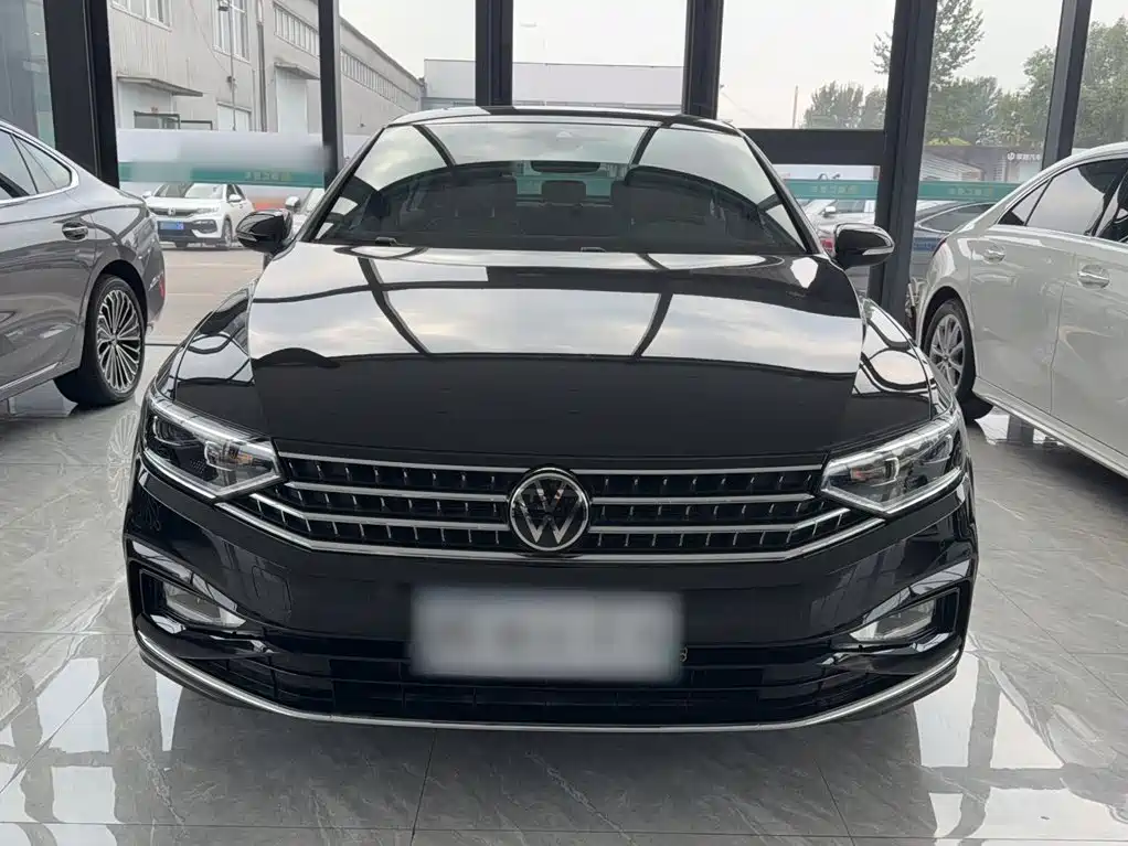 Volkswagen Magotan 2025 2025 Popular Edition 330TSI DSG Luxury