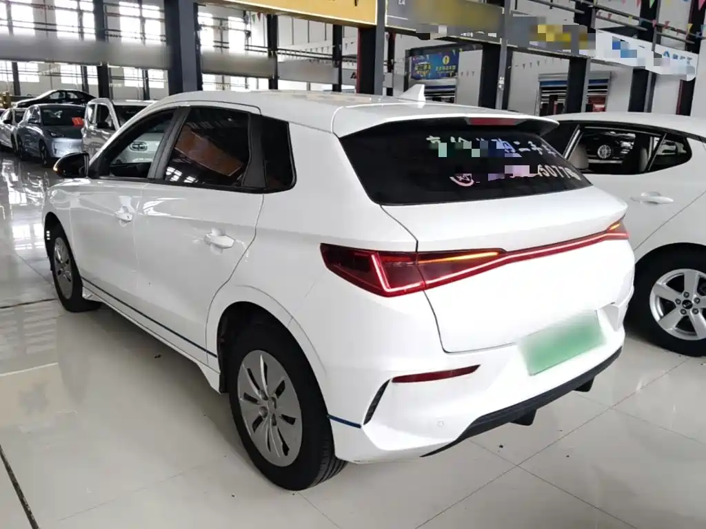 BYD e2 2020 2019 Standard Range Yue·Standard Model