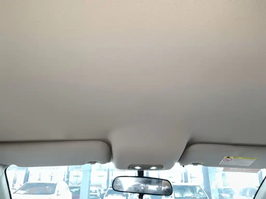 BYD e2 2020 2019 Standard Range Yue·Standard Model