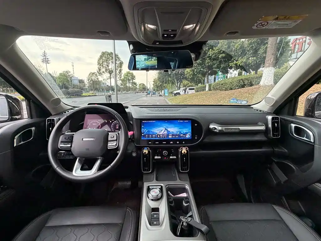 Haval Big Dog 2024 1.5T DCT Border Collie Edition фото 11
