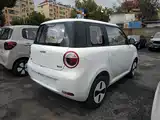 Photo 7 - Changan Lumin