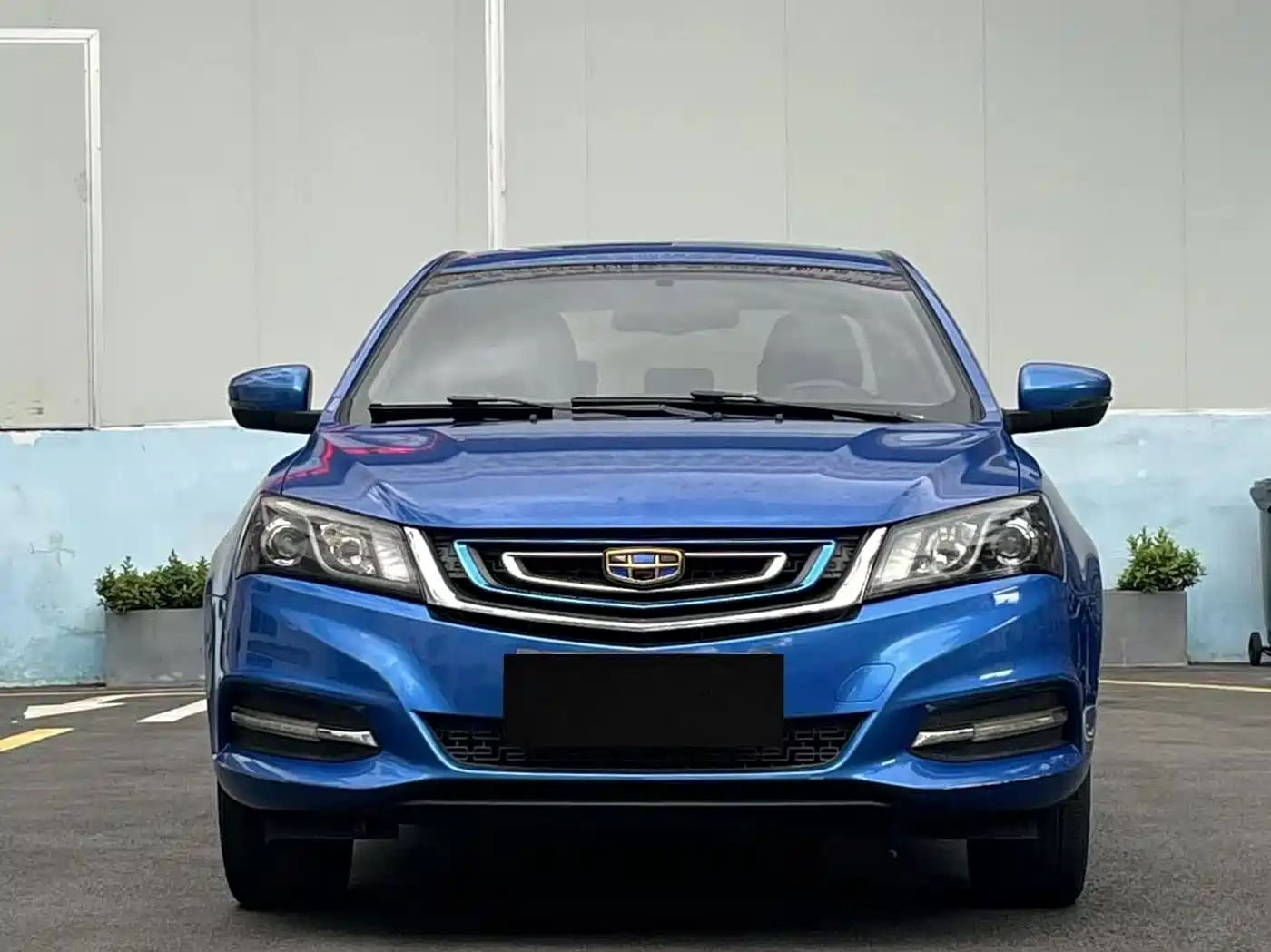 Geely Emgrand New Energy 2017 2017 EV300 Elite