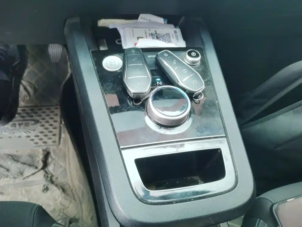 BYD e2 2021 2020 Upgrade Standard Range Standard Model