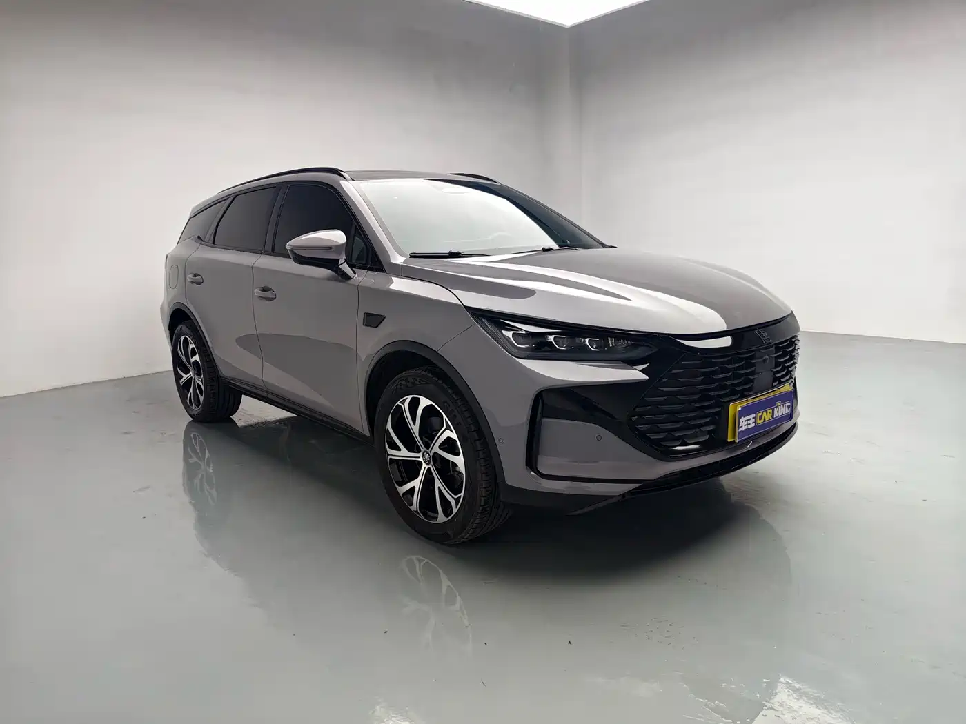 BYD Tang New Energy 2025 2025 Smart Driving Edition DM-i 115KM Flagship