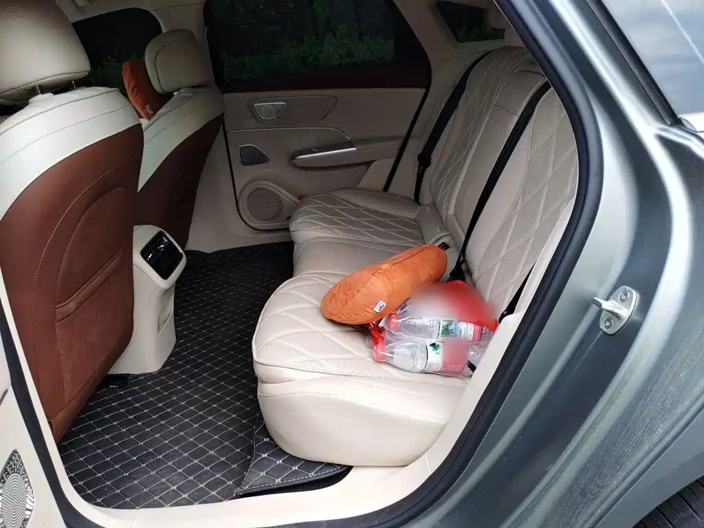 Chery Fengyun Fengyun A9L 2025 2025 Model 260 Extended Range Premium Edition