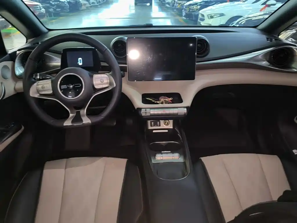 BYD Dolphin 2023 420km Fashion Edition фото 10