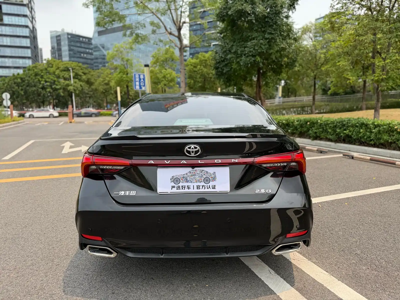 Фото 8 - Toyota Avalon