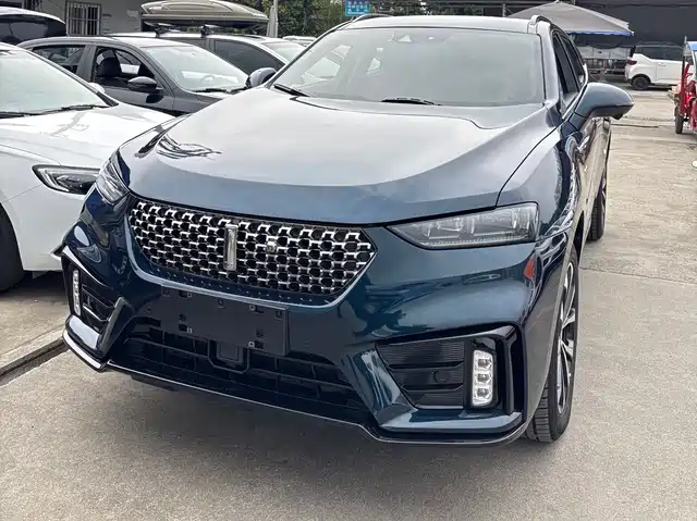 WEI PAI WEI BRAND VV7