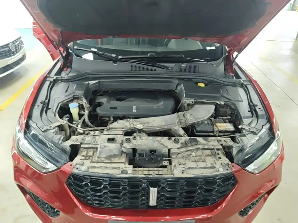 WEY VV5 2019 2019 Upgrade 2.0T 2WD Ultra Luxury China V