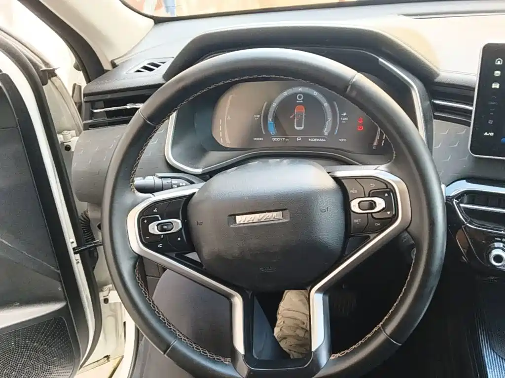 Haval Chitu 2023 2022 Power Edition 1.5T Purple Copper Rabbit