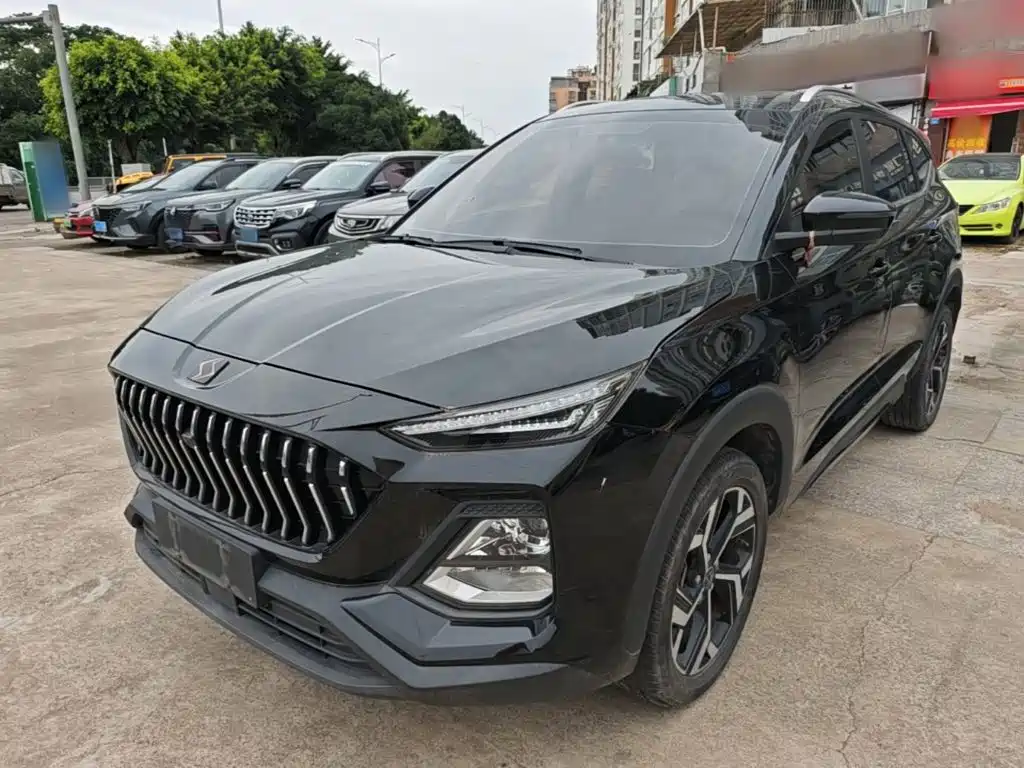 Sehol X8 2022 2022 Great Sage Edition 300T DCT Walker Type 7-Seater