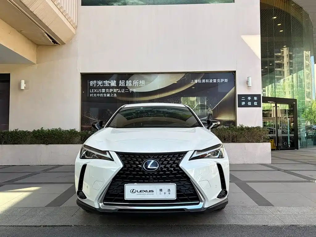 Lexus UX 2021 2020 260h Explore Fun Edition