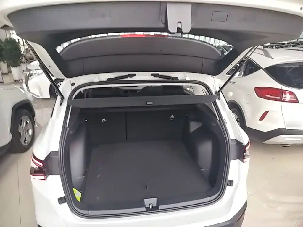 Фото 19 - Jetta VS8