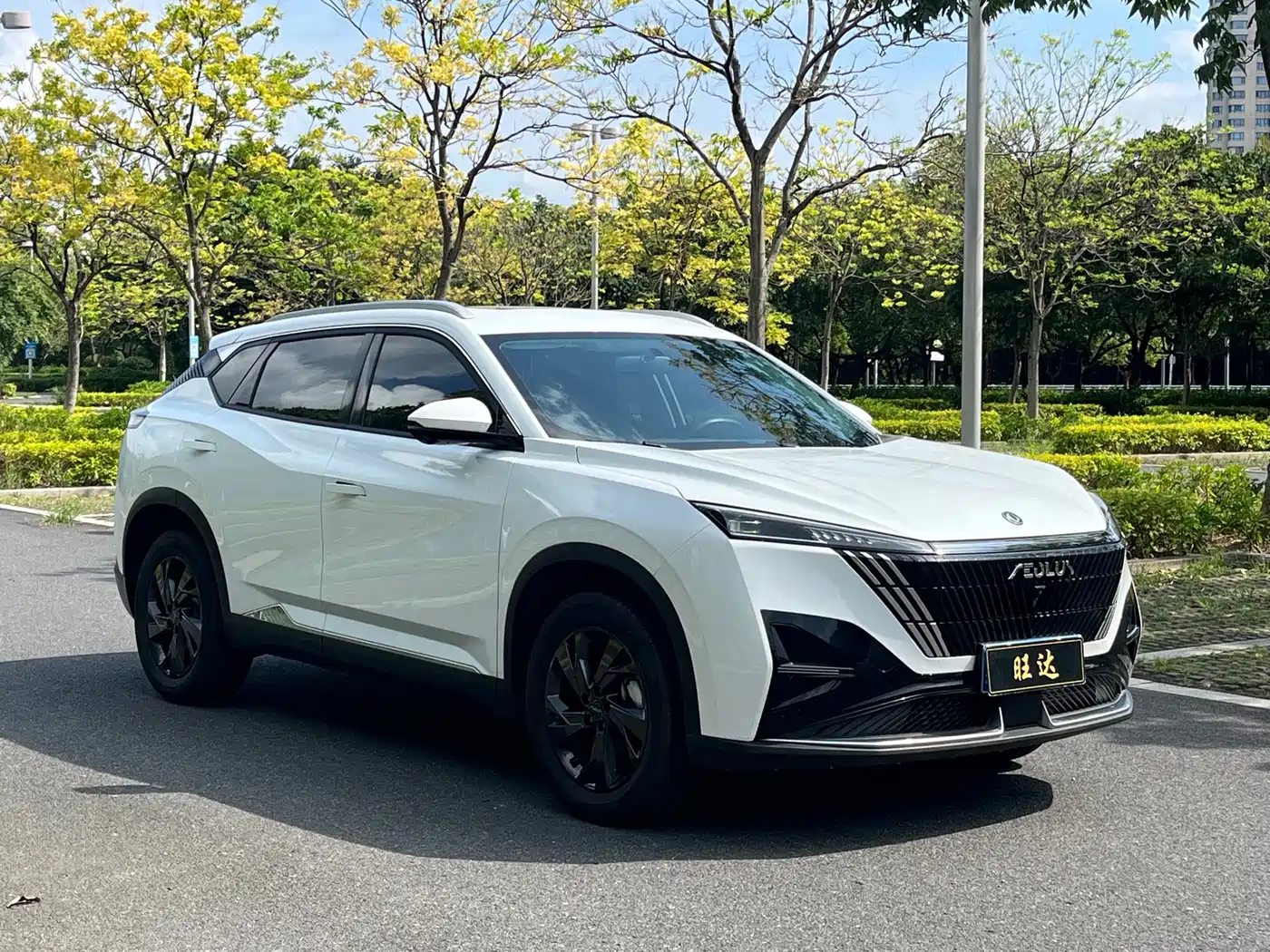 Dongfeng Aeolus Haohan 2024 2025 1.5T Luxury