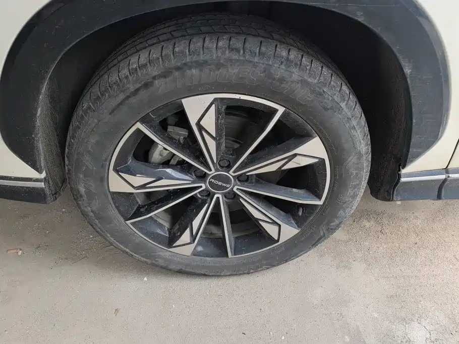 Фото 6 - Roewe RX5