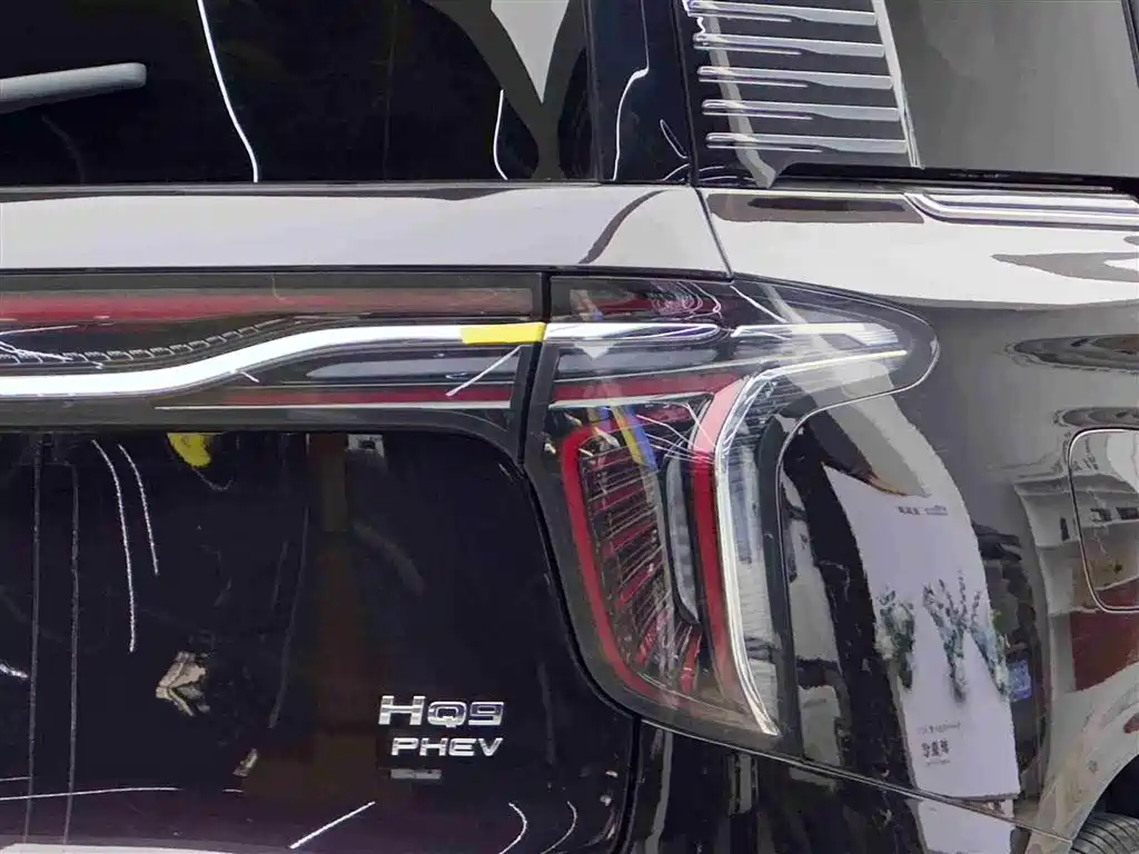 Hongqi HQ9 PHEV 2024 Model 2.0T AWD Business Edition фото 14