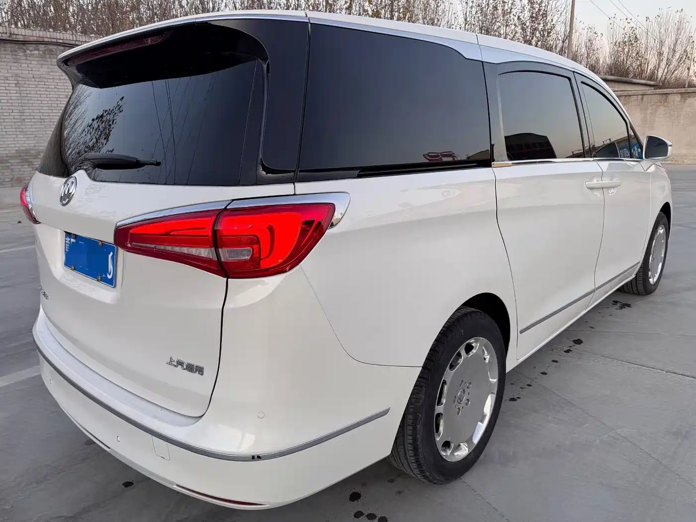 Buick GL8 2017 ES 28T Premium China V фото 3
