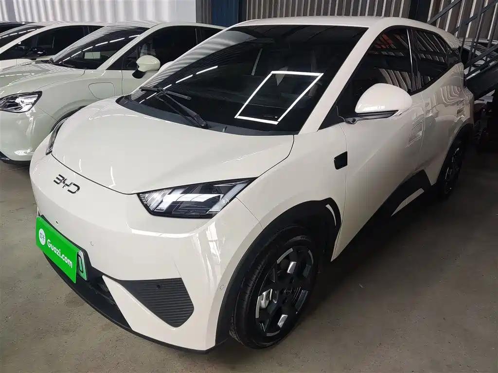 BYD Seagull 2025 Smart Drive Edition 305km Freedom Version фото 2