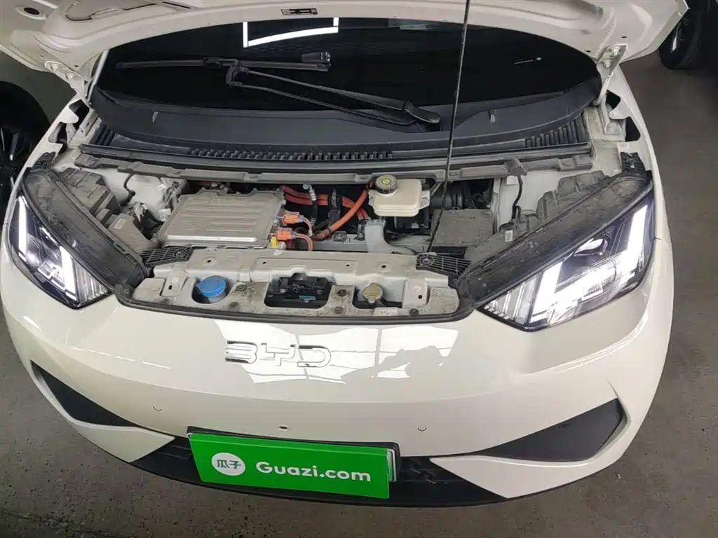 BYD Seagull 2025 Smart Drive Edition 305km Freedom Version фото 20