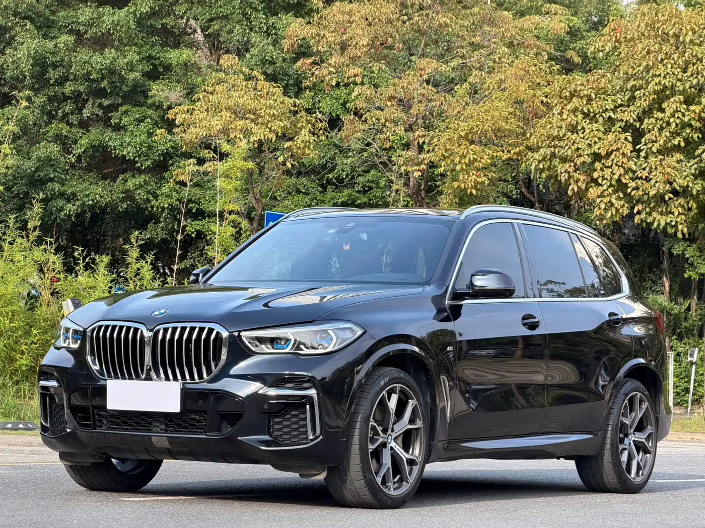 BMW X5 2022 Facelift xDrive 40Li M Sport Package