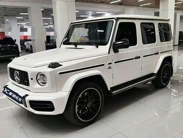MERCEDES-BENZ G CLASS