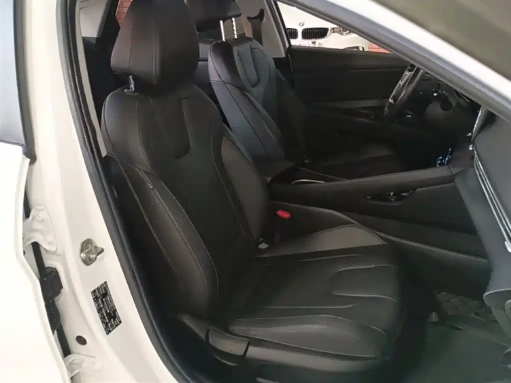 Hyundai Elantra 2021 1.5L CVT LUX Premium Edition фото 25