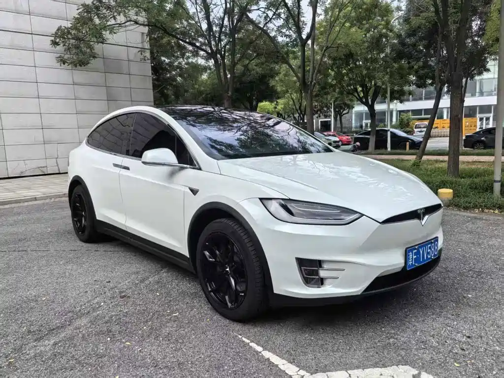 Tesla Model X 2017 2017 Model X 100D Long Range