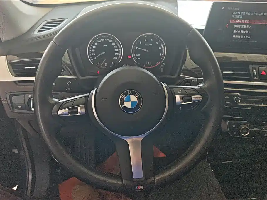 BMW X1 2020 xDrive25Li Premium Edition фото 15