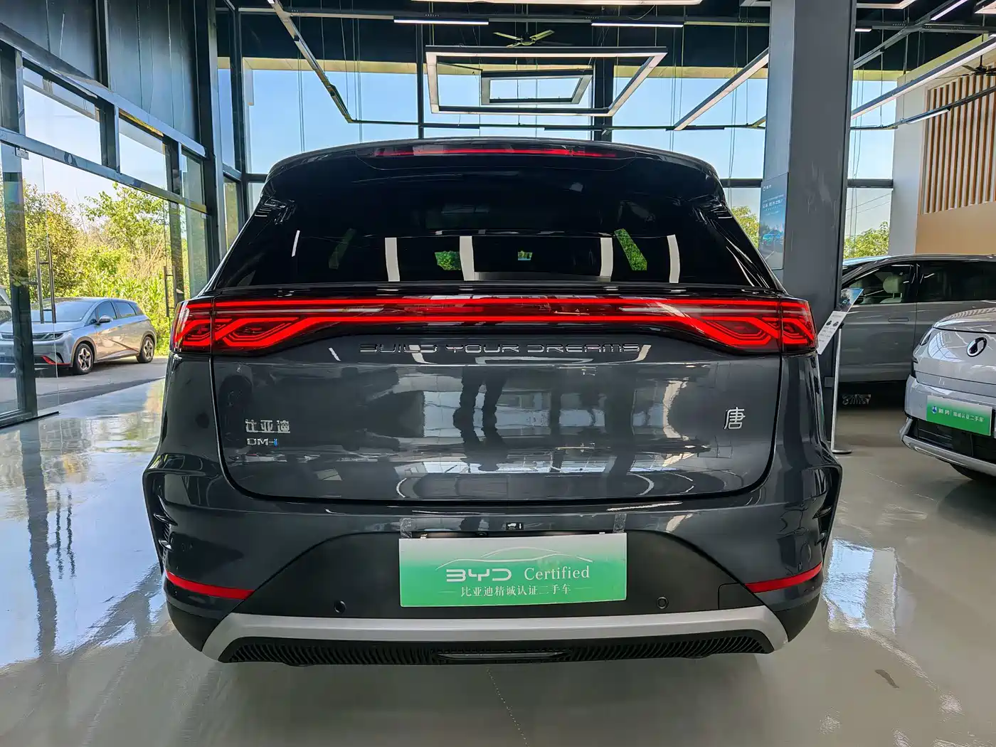 BYD Tang New Energy 2024 2025 DM-i 115KM Prestige Type