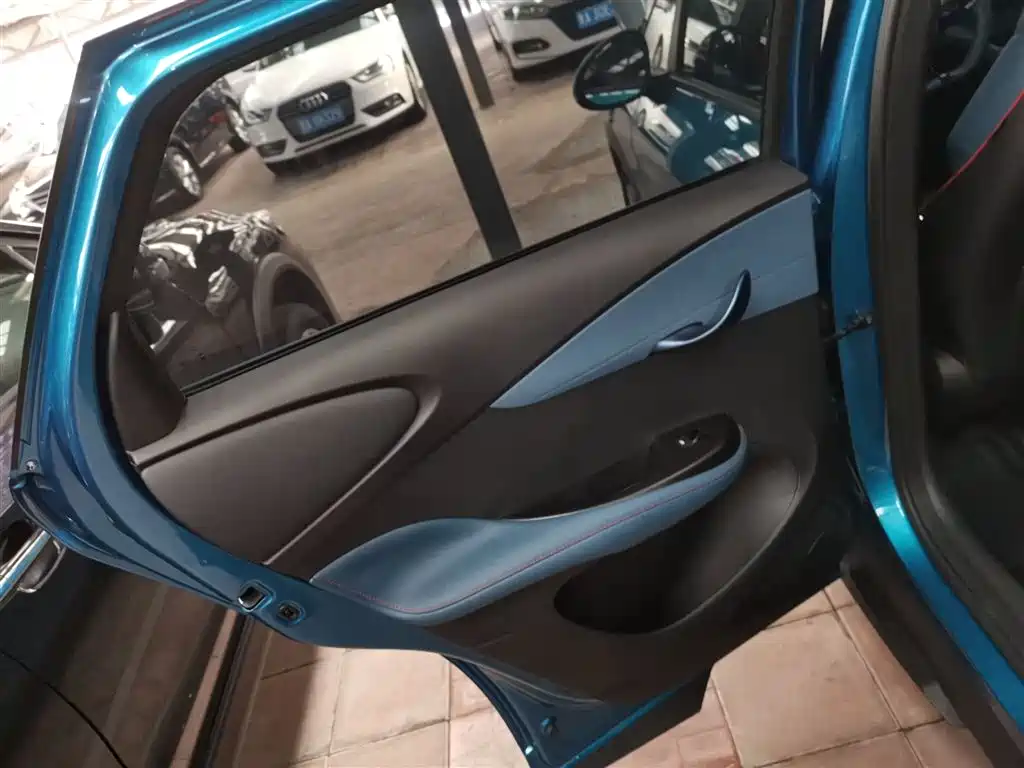 BYD Dolphin 2021 401km Knight Edition фото 22