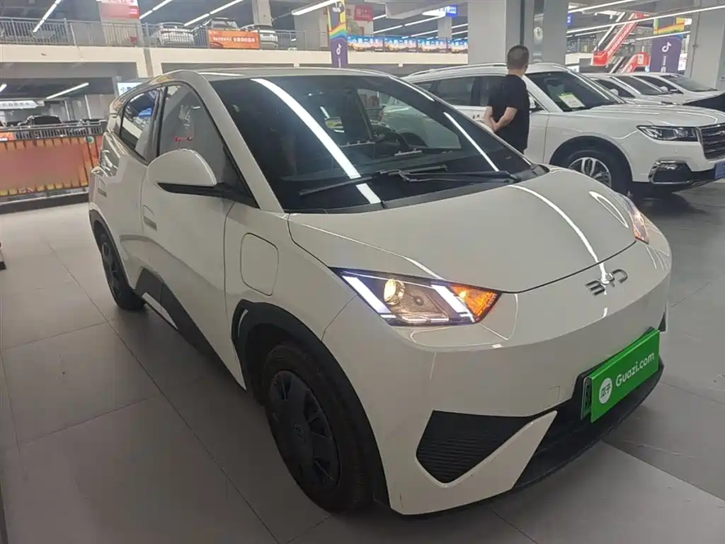 BYD Seagull 2025 Smart Drive Edition 305km Vitality Version фото 4