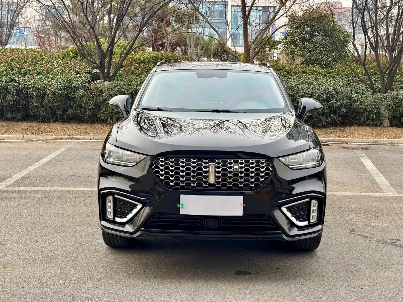 WEI PAI WEI BRAND VV5