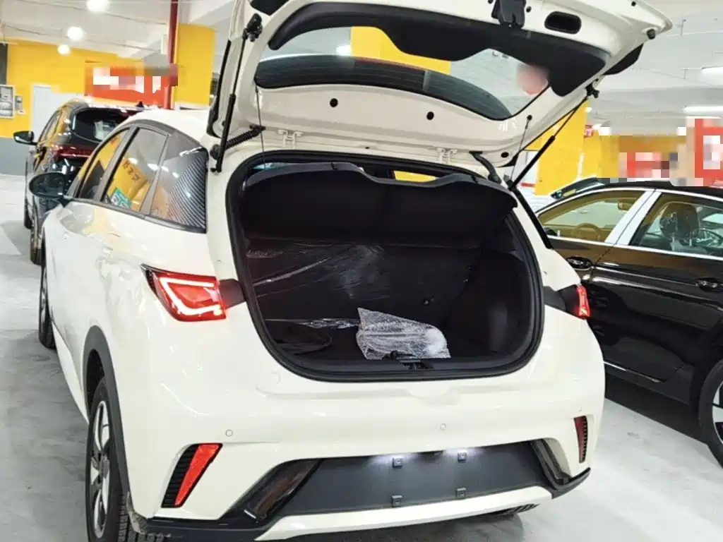 BYD Dolphin 2026 2025 420km Freedom Edition