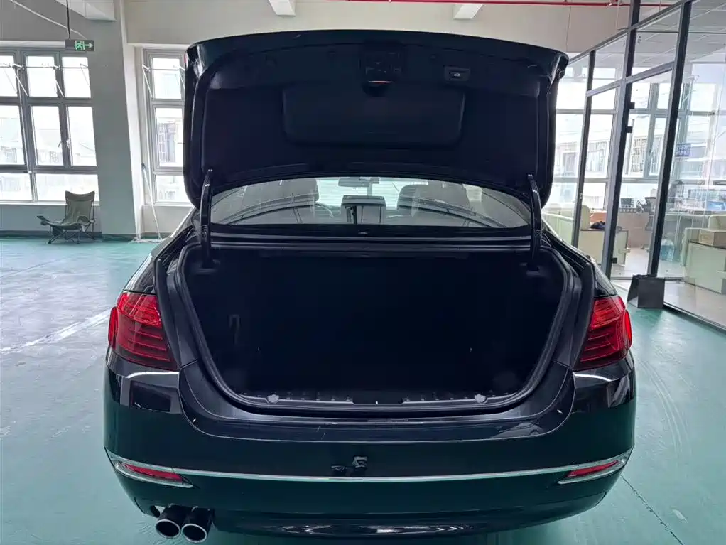 BMW 5 Series 2017 525Li Luxury Design Package фото 12