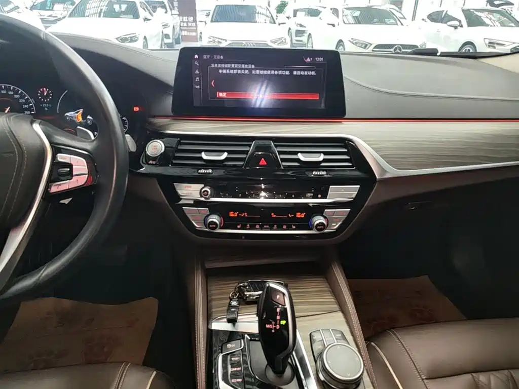 BMW 5 Series 2019 Facelift 530Li Leading Luxury Package фото 13