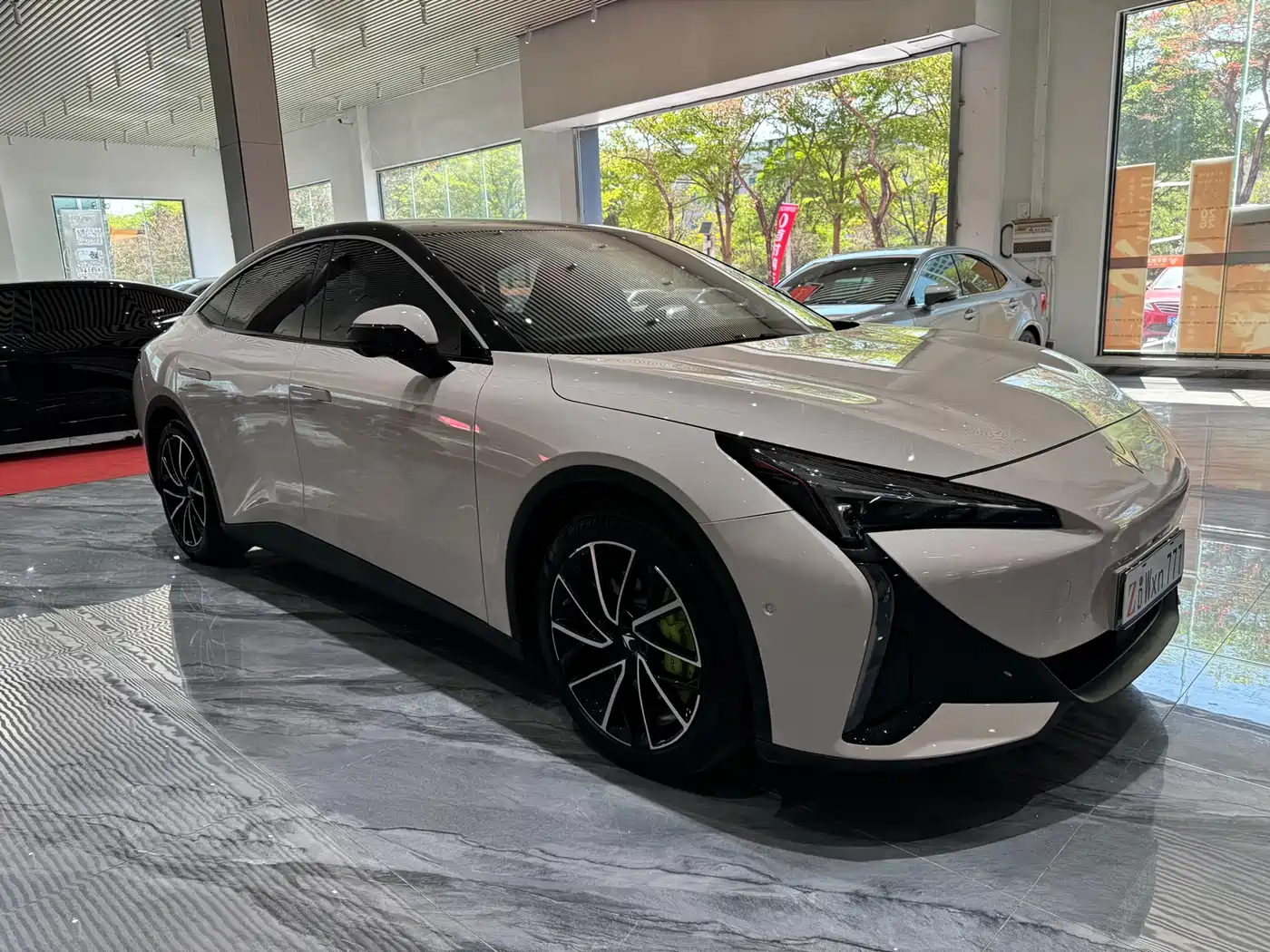 ARCFOX EXTREME FOX POLAR FOX ALPHA S5