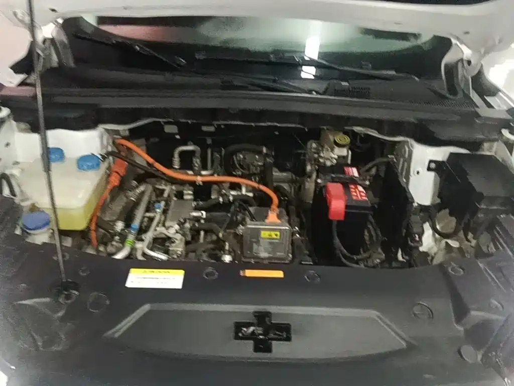 Dongfeng Aeolus SKY EV01 2024 2024 530km PRO
