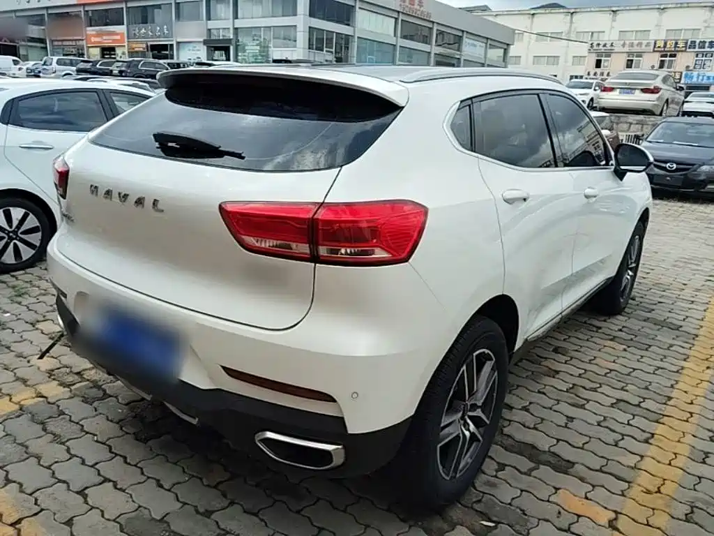 Haval F5 2019 2019 National Trend Edition 1.5T iStyle China VI