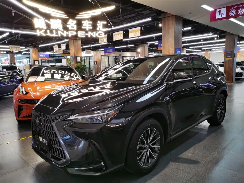 Lexus NX 2023 260 FWD Joy Creation Edition