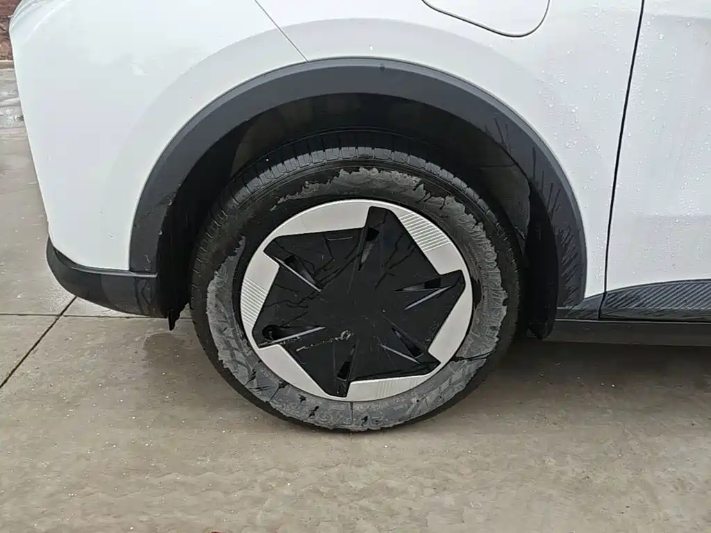 Geely Geometry E Firefly 2024 2024 Model 301km Light Flow