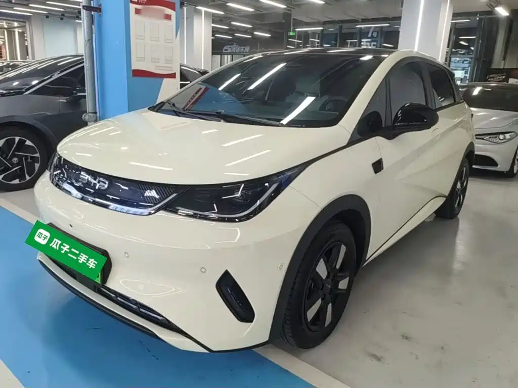BYD Dolphin 2026 2025 Smart Drive Edition 410km Fashion Version