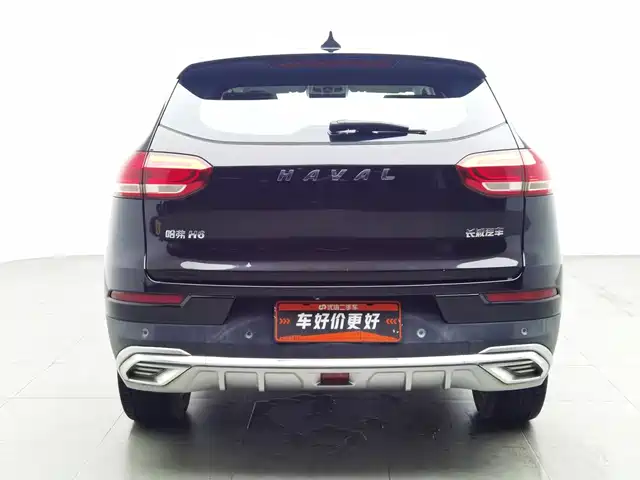 Haval H6 2020 1.5GDIT Automatic Platinum Champion Edition — фото 4